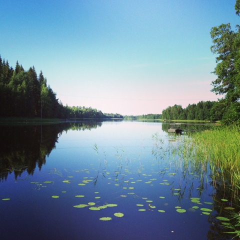 Kesän kaunein aamu?